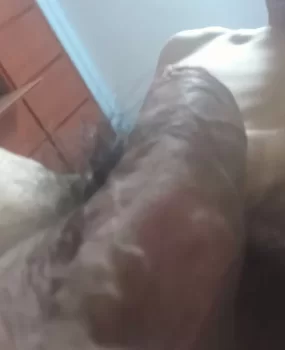 湖北十堰17cm小男生，价格便宜，服务好