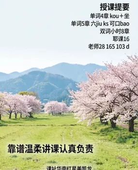华南美凯龙