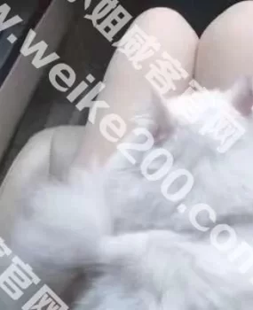 只做口爆（价格便宜，服务不错）