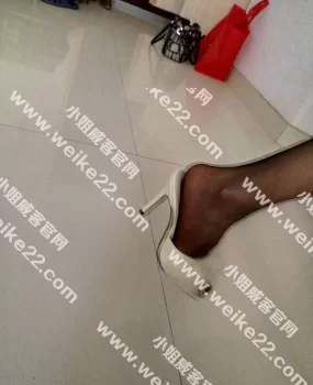 风骚黑丝熟女温馨体验